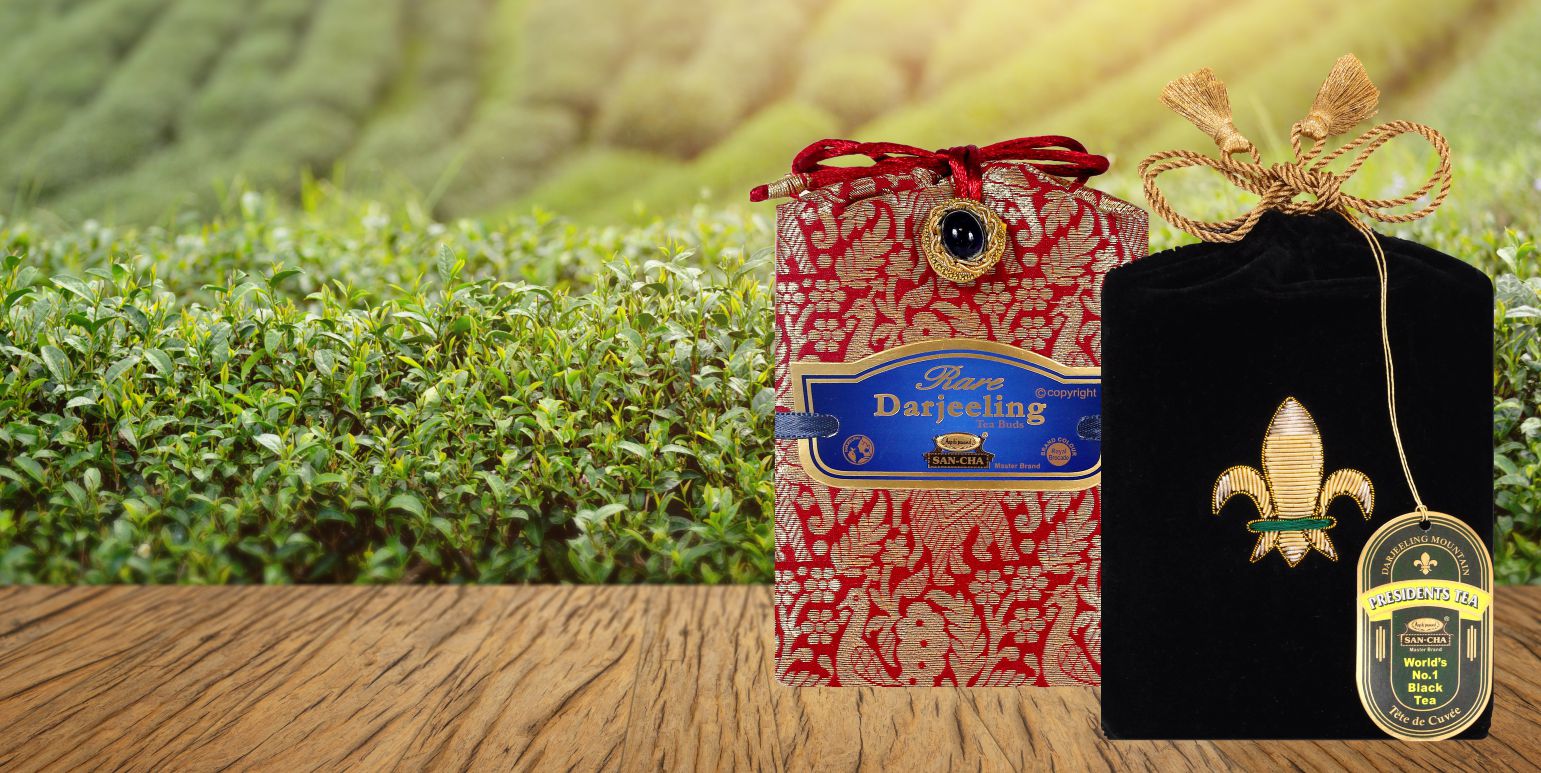 New Arrivals 2025 – Fresh Teas & Innovations